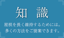 知識
